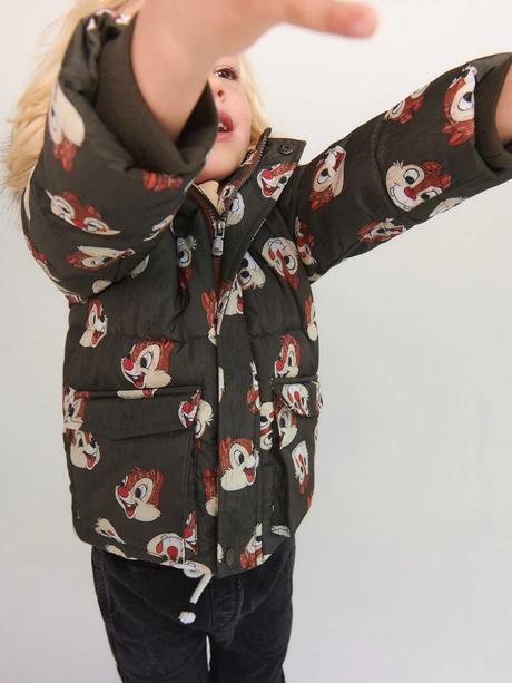 Zateplená bunda chip and dale reserved, reserved,110