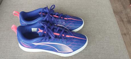 Halovky puma, puma,37