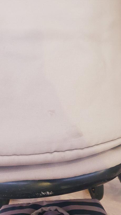 Kočík neonato puro, neonato,neonato puro