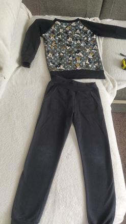 Suprava mickey mouse, 110