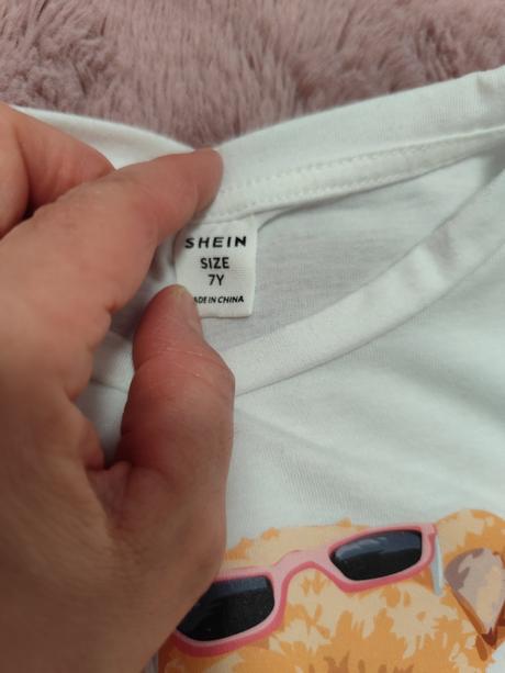 Medvedikove letné tričká, 122