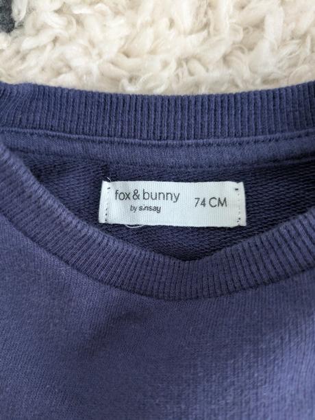 Mikina a legínky, fox & bunny,74