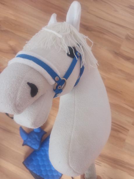 Hobby horse,