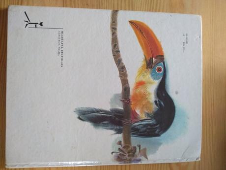 Retro rudo moric-ako som krstil medveďa- 5 eur,