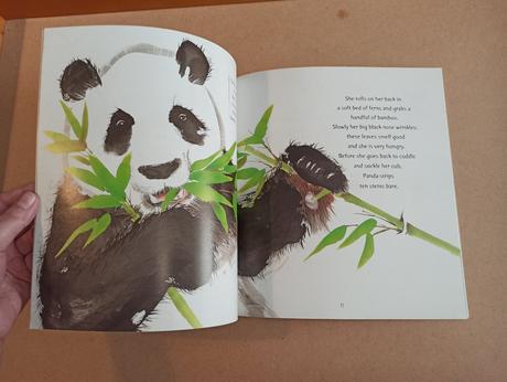 Nick dowson - tracks of a panda,