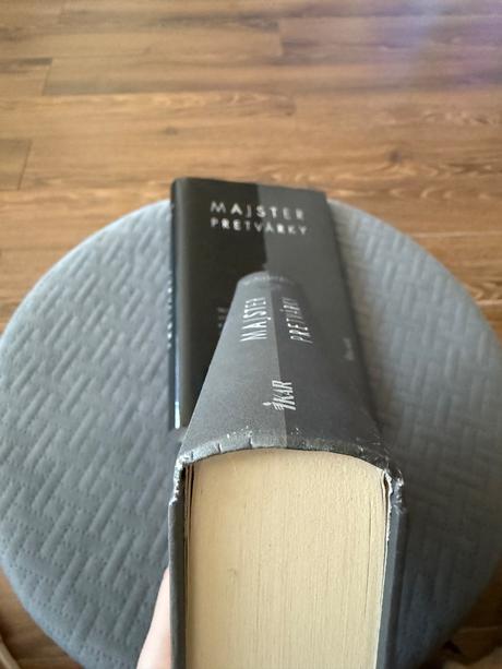 Majster pretvárky- susannah cahalan,