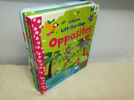 Usborne lift the flap opposites,