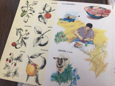 Prvá knižka pre barborku - leporelo retro,