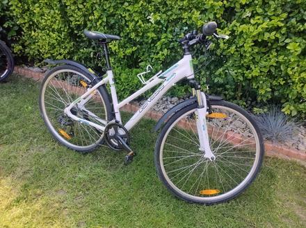 Ponúkam dámsky krosový bicykel, 28