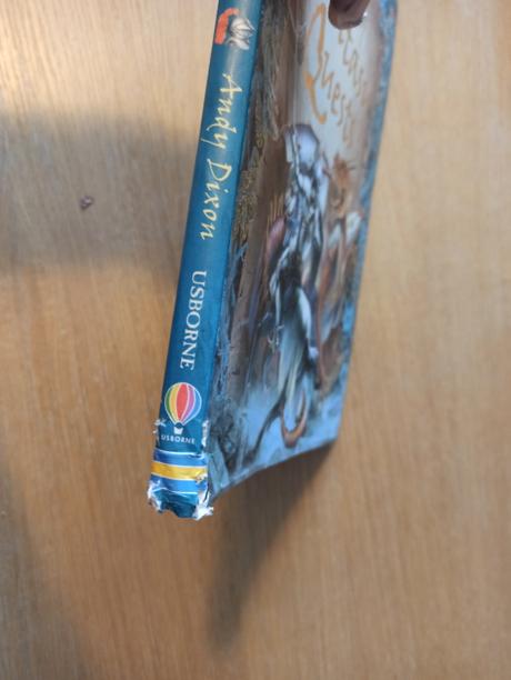 Usborne fantasy adventure / quest,