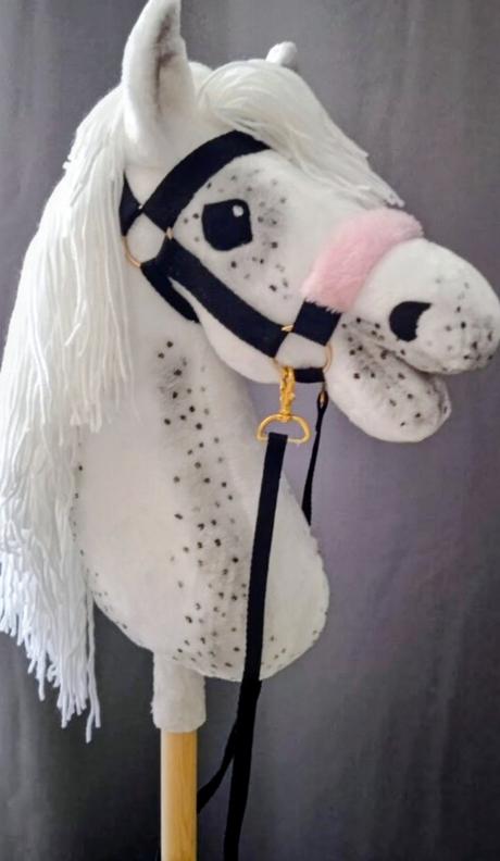 Hobby horse, 