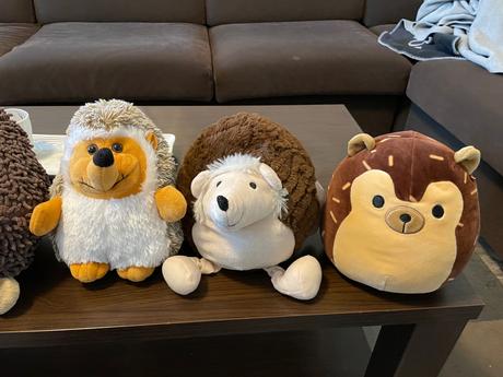 Plyšoví ježkovia, 