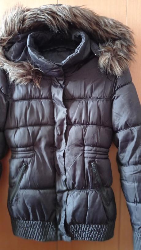 Bunda prechodná, calliope,m