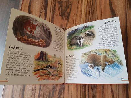 Kniha zvieratka v 4 rocnych obdobiach, 