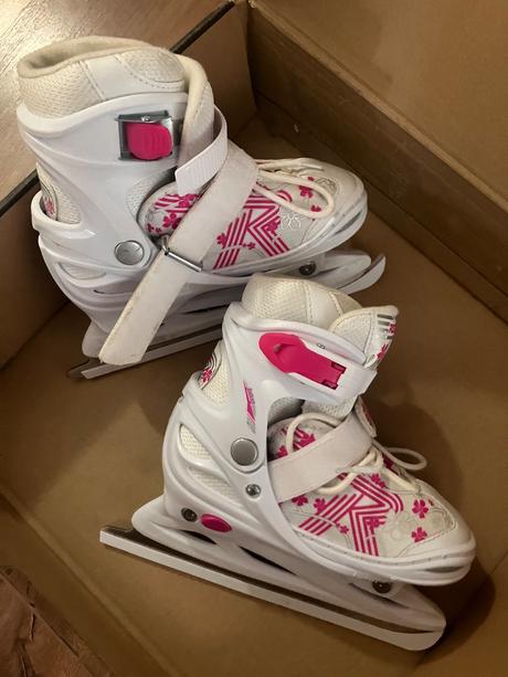 Ľadové korčule roces, 31