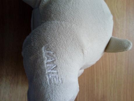 Jané hrošík s búšením srdca, 