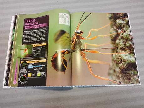 Dr george mcgavin - dk super bug hb nsu23,