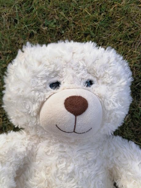 .plyšák medvedík,