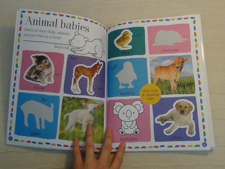100 animal words activity + stickers nsp18,