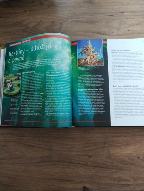 Skrytá tvar prirody,