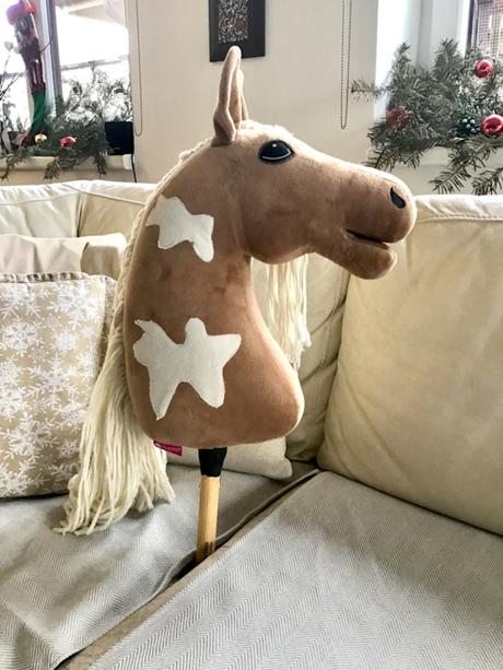Hobby horse,