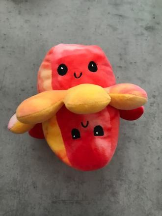 Plyšová chobotnica, 