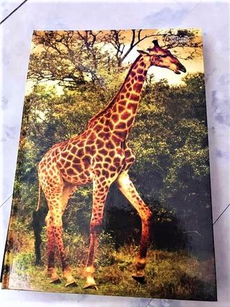 Veľký zošit v tvrdých doskách a4 linajkový, 