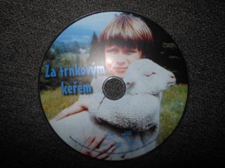 Dvd za trnkovým kerom, 