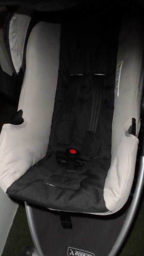 Kočík colleto austin, coletto,coletto austin 4