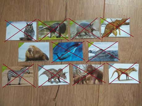 Nalepka 218 animal kingdom,