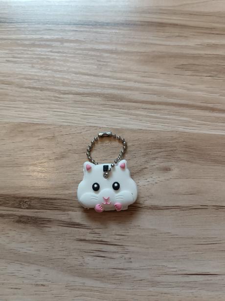 Prívesok na kľúče, 