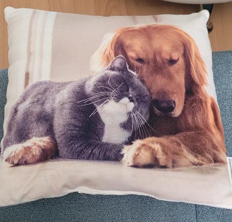 Vankusik pes&mačka, 