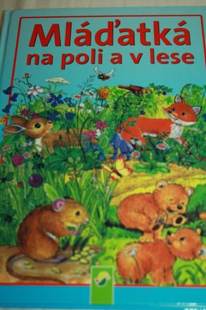Rozpravky na dobru noc 93 strany,