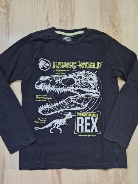 Tričká- pokémon, rex, dinovia... 134, pepco,134