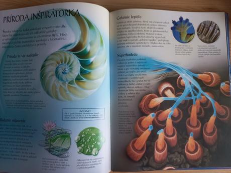 Záhady a zázraky vedy, 