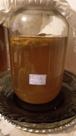 Kombucha, 