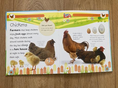 Detská anglická kniha farm animals, 