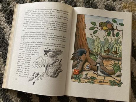 Utečenec na vtáčom strome (1982), 