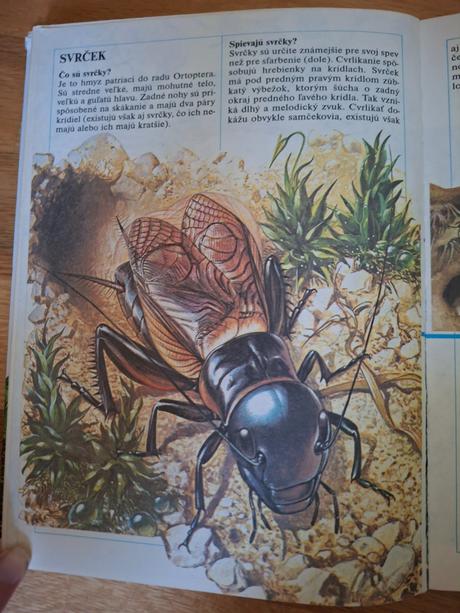 Kniha 1000 otazok zo zivota zvierat,