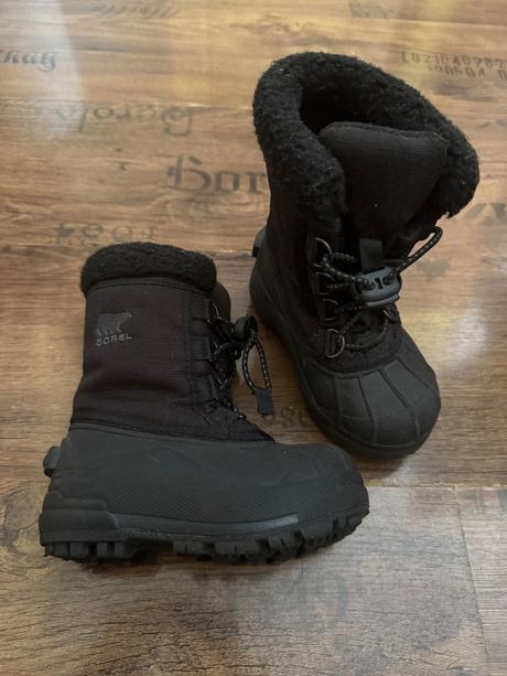 Snehule sorel, sorel,24