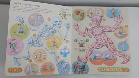 Albi kouzelné čtení lidské tělo, 