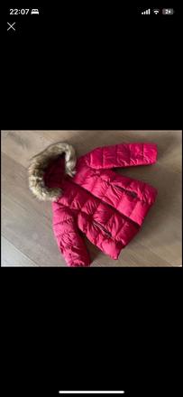 Cervena bundicka, zara,104