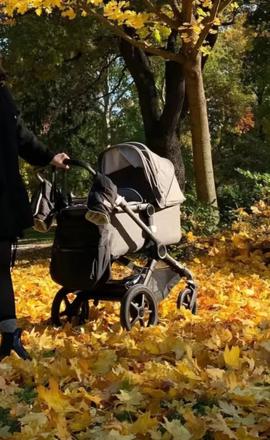 Bugaboo fox2, bugaboo,bugaboo fox 2