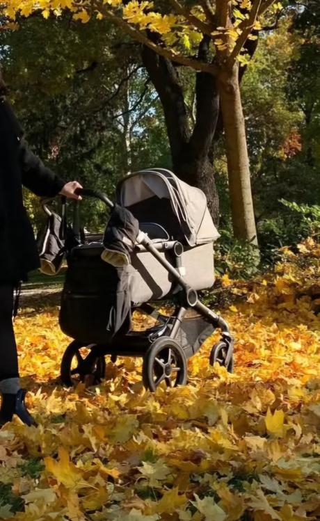 Bugaboo fox2, bugaboo,bugaboo fox 2