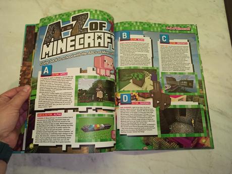 Minecraft 2020 annual, 