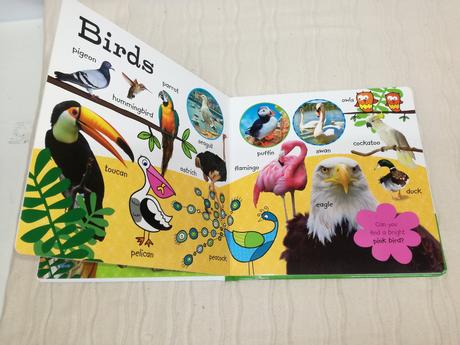 First 100 animals leporelo nau19,