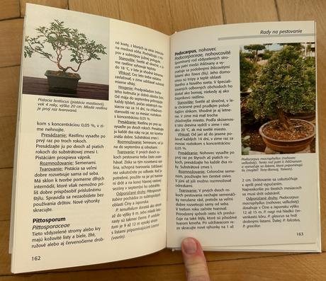 Kniha izbové bonsaje wolfgang kawollek za 5eur,