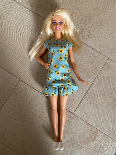 Barbie so psíkmi a výroba kostičiek,