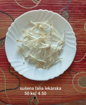 Ľalia lekárska,