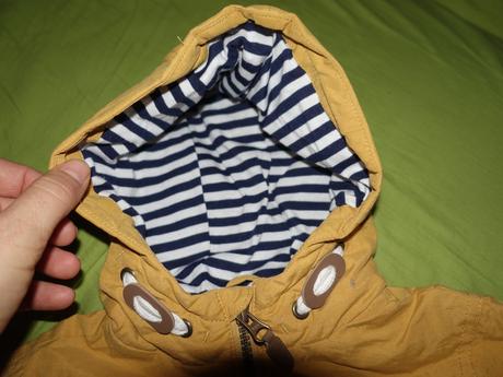 Bundicka st.bernard, st. bernard,92